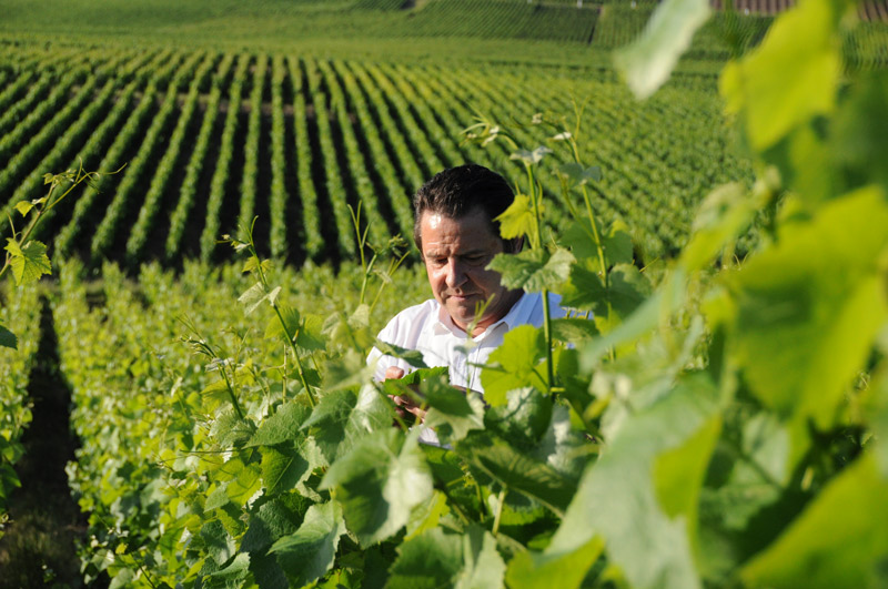 31006_Maison_Gaston_Chiquet_04.jpg