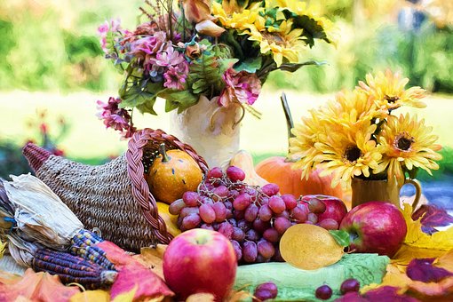 pluchage_des_aliments_05.jpg